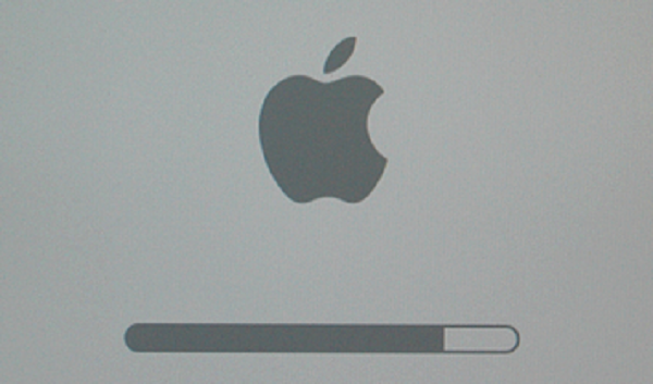Stuck on apple logo macbook pro calm natural vitality