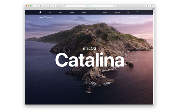 Catalina Mix (WinDD) — Jetson Creative